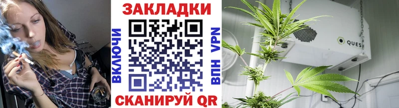 Где купить наркотики Мончегорск ГАШ  Конопля  Галлюциногенные грибы  МЕФ 