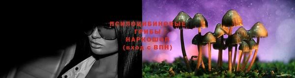 ECSTASY Семилуки