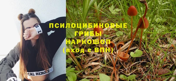 марки lsd Бородино
