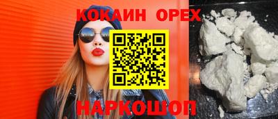 шишки Владимир