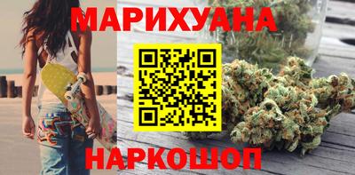 шишки Владимир