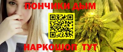 шишки Владимир
