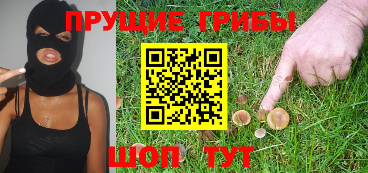 Псилоцибиновые грибы Cubensis Мончегорск