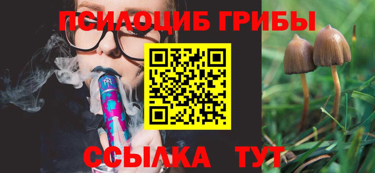 Псилоцибиновые грибы Cubensis  Вход с VPN  Галлюциногенные грибы MAGIC MUSHROOMS  Мончегорск 